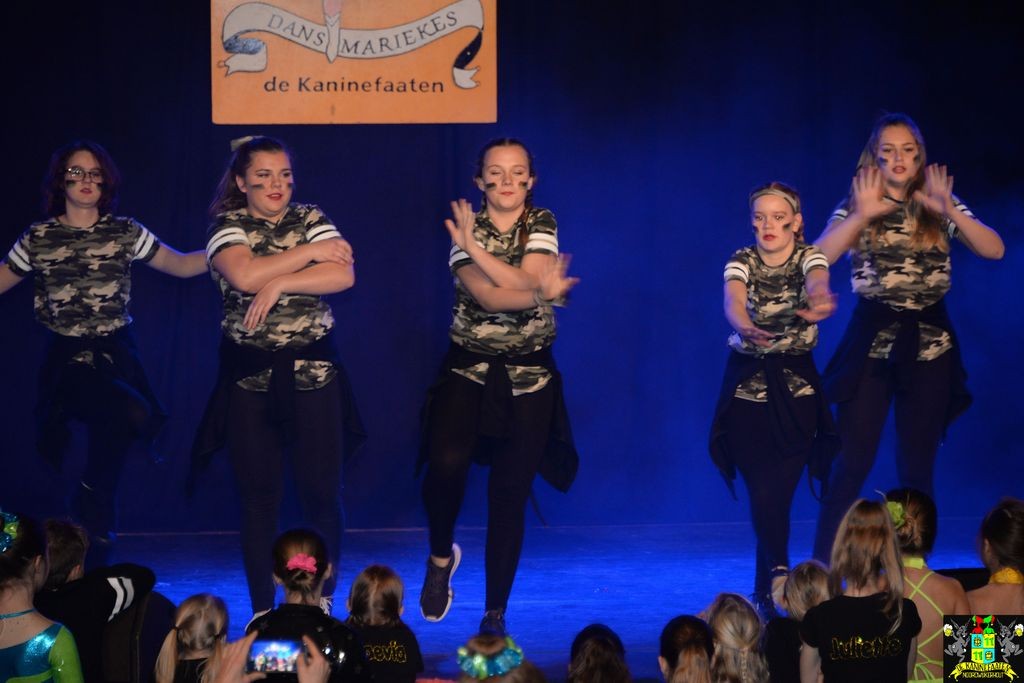 ../Images/Dansmarieke festival 2018 440.jpg